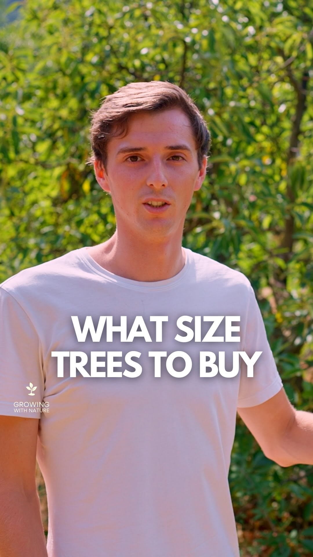 growingwithnature_official 게시물 이미지: What trees should you buy when starting your...