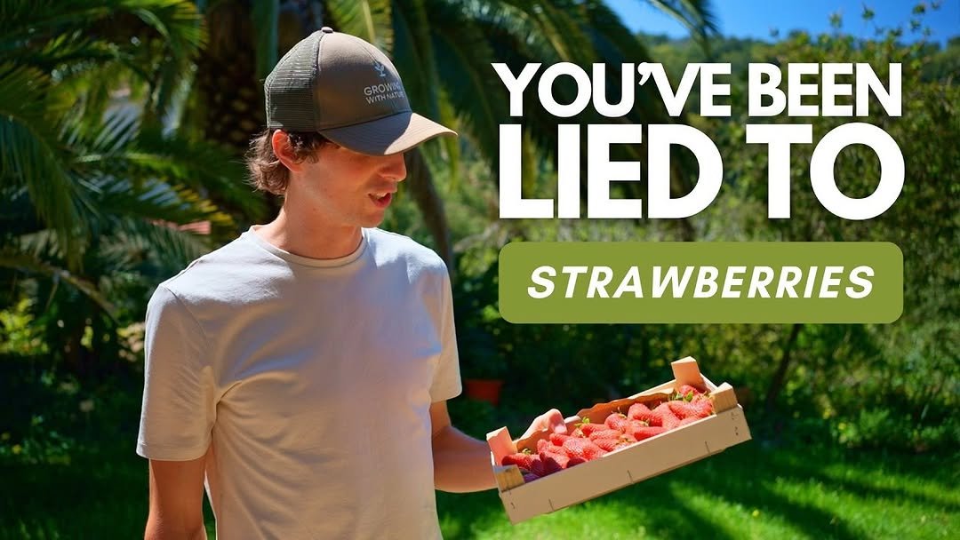 Photo by Luke Kelsall | Growing With Nature on April 23, 2026. May be an image of strawberry and text that says 'YOU'VE BEEN LIED 10 STRAWBERRIES'.