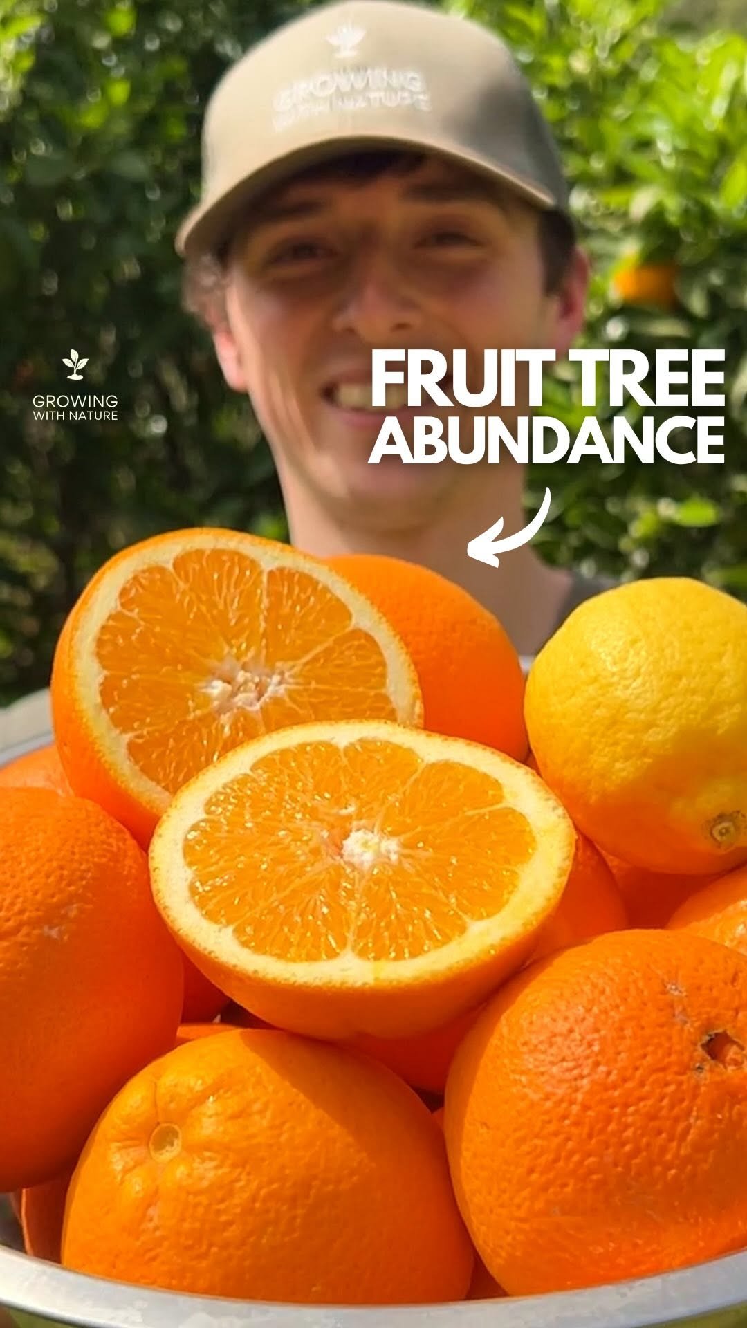 growingwithnature_official 게시물 이미지: Fruit trees provide lifelong abundance with...