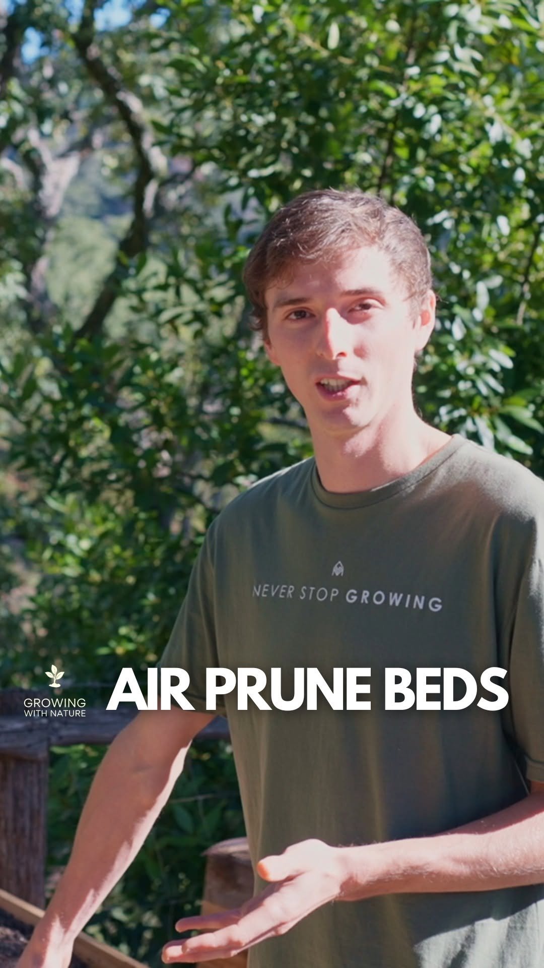 growingwithnature_official 게시물 이미지: The best method for growing trees from seed -...