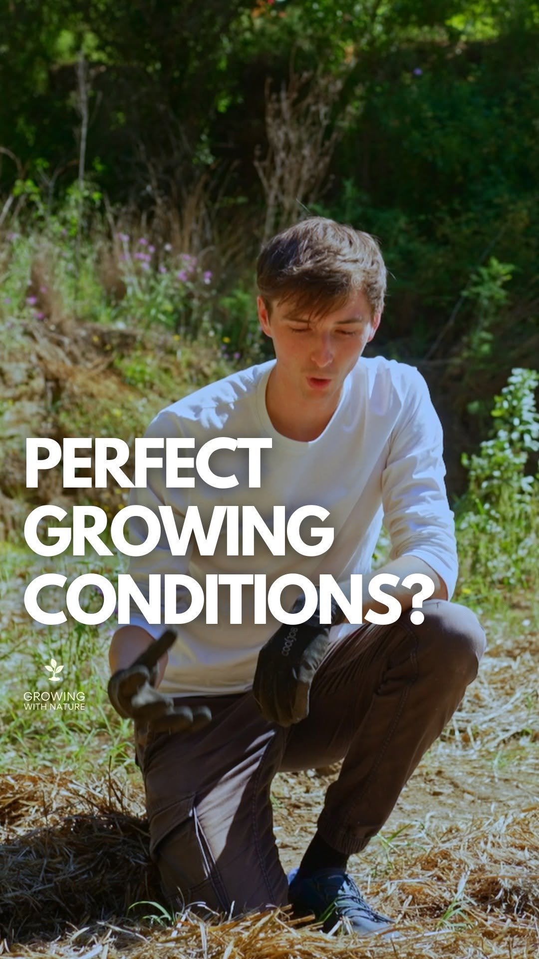 growingwithnature_official 게시물 이미지: Create perfect growing conditions using straw...