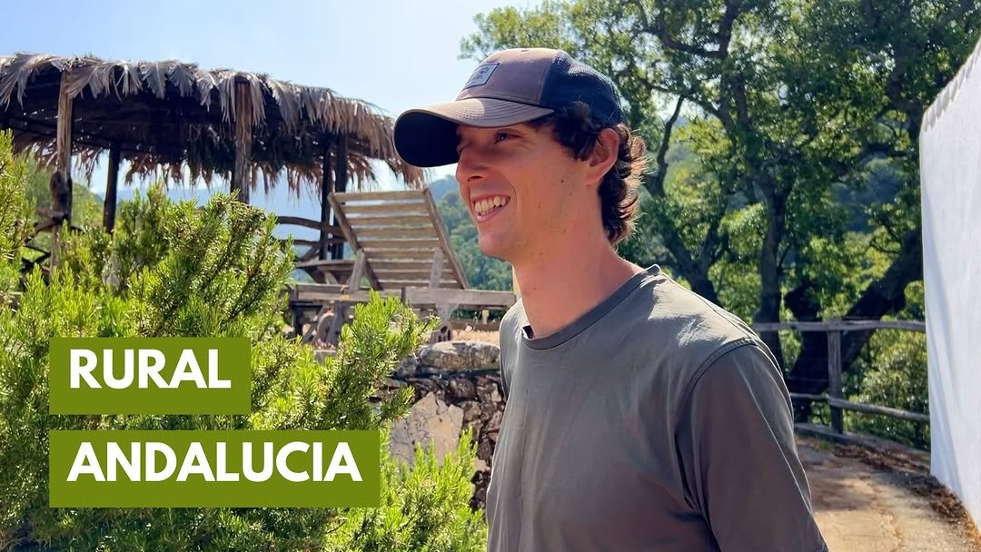 Photo by Luke Kelsall | Growing With Nature on December 18, 2025. May be an image of sugarcane, outdoors and text that says '4040 RURAL ANDALUCIA'.