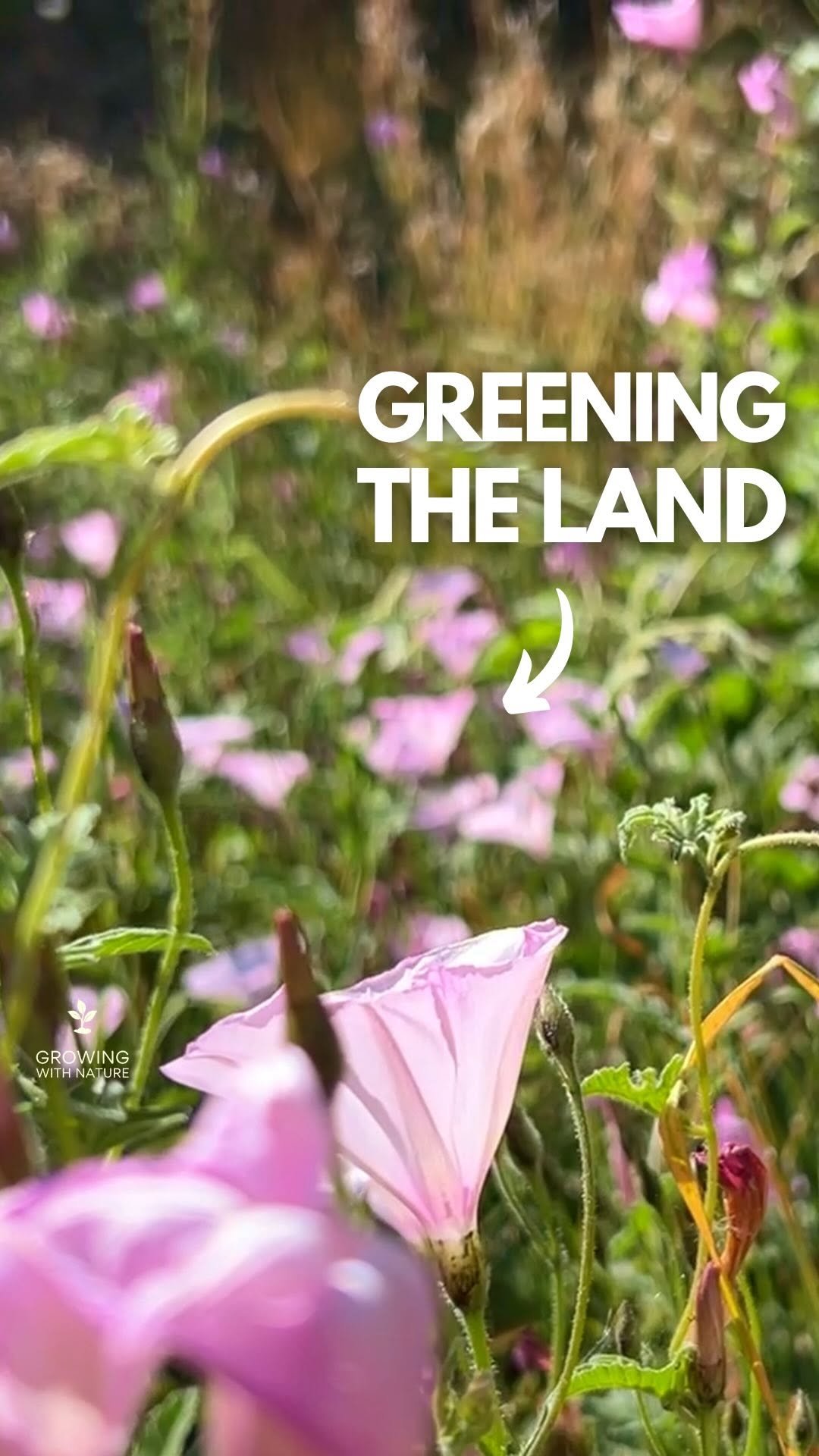 growingwithnature_official 게시물 이미지: Greeting the landscape in South Spain...