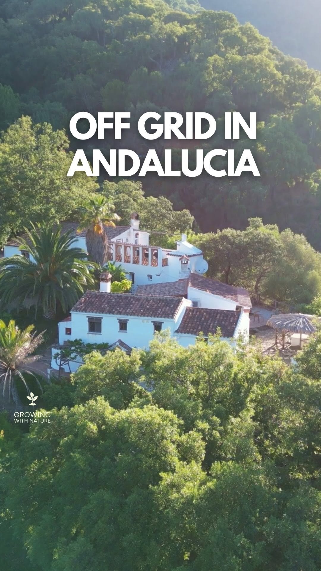 growingwithnature_official 게시물 이미지: Creating Food Abundance Off Grid In Andalucia...