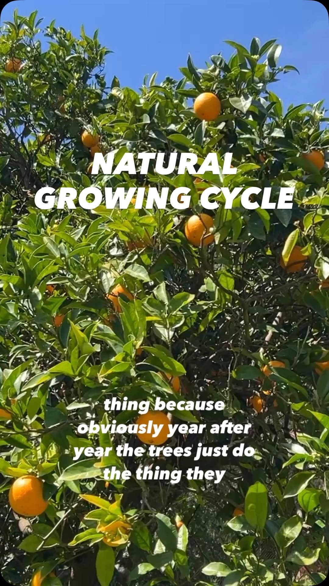 growingwithnature_official 게시물 이미지: Have you ever experienced annuals growing like...