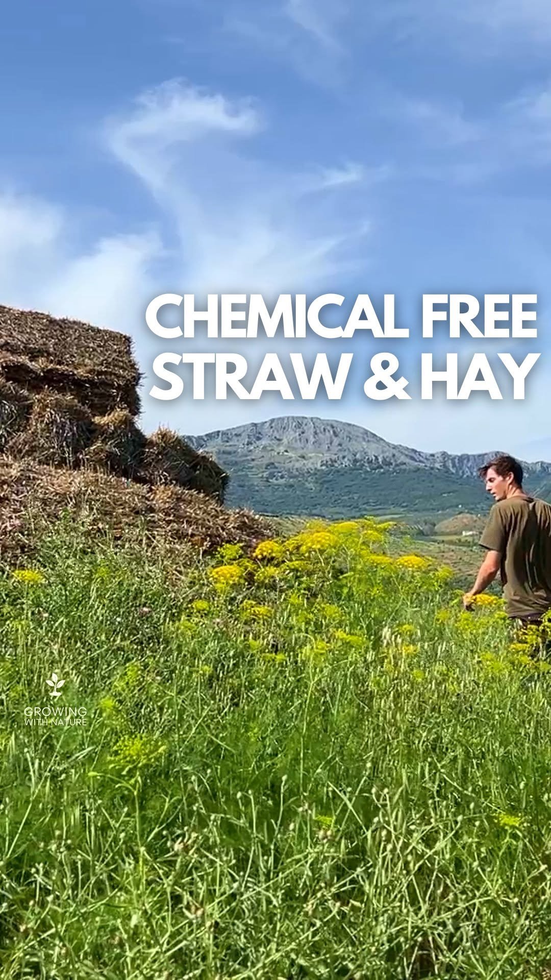 growingwithnature_official 게시물 이미지: Chemical-Free Hay & Straw for Mulching...