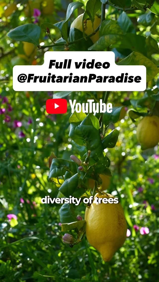 growingwithnature_official 게시물 이미지: Learn more about my story and how I’m creating...