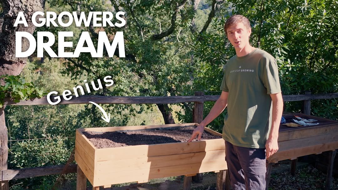 Photo by Luke Kelsall | Growing With Nature on December 05, 2025. May be an image of cold frame, seedlings, herb, seedling and text that says 'A GROWERS DREAM Genius GROWING'.