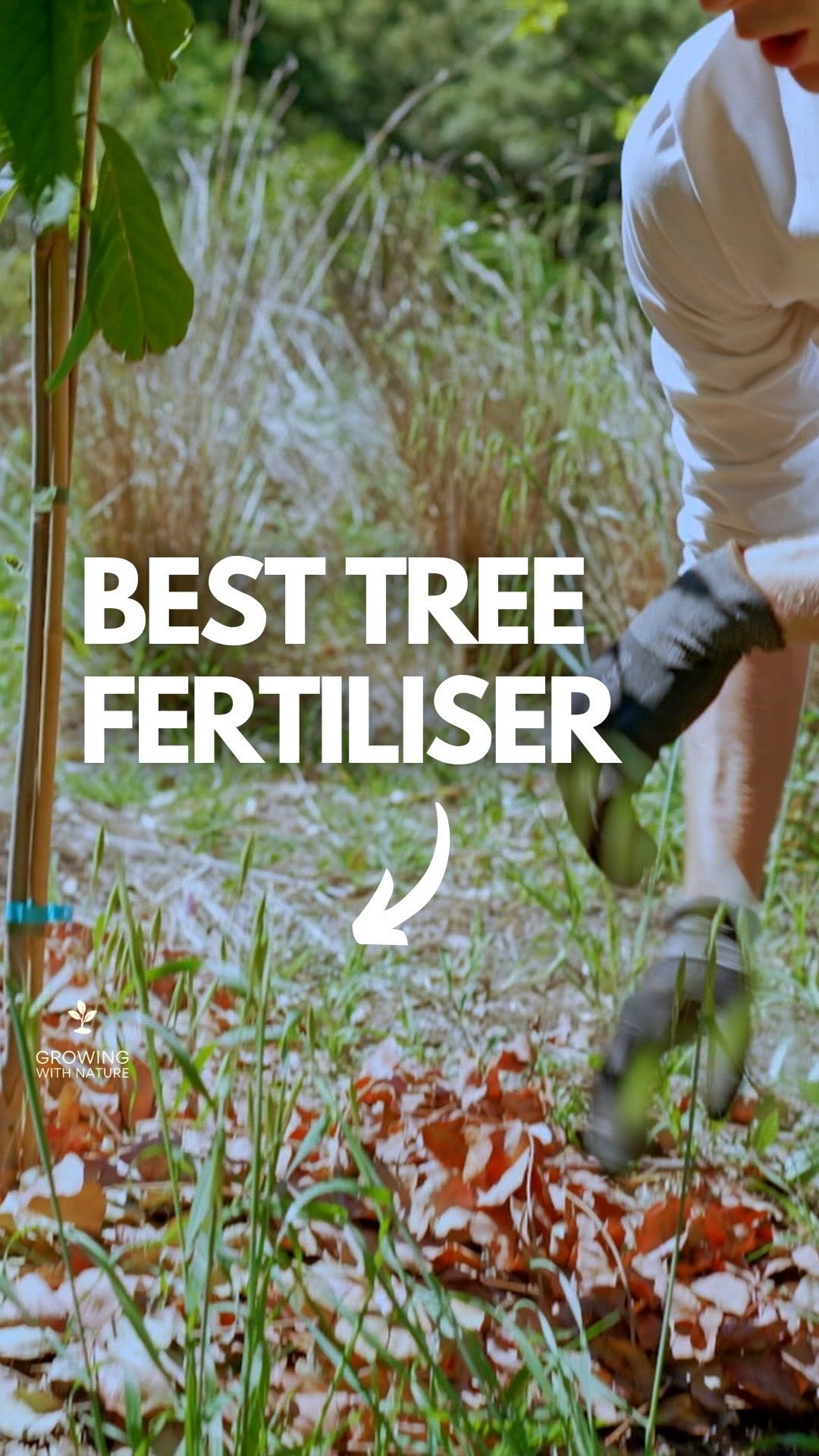 growingwithnature_official 게시물 이미지: Nature’s fertiliser #permaculture #foodforest...
