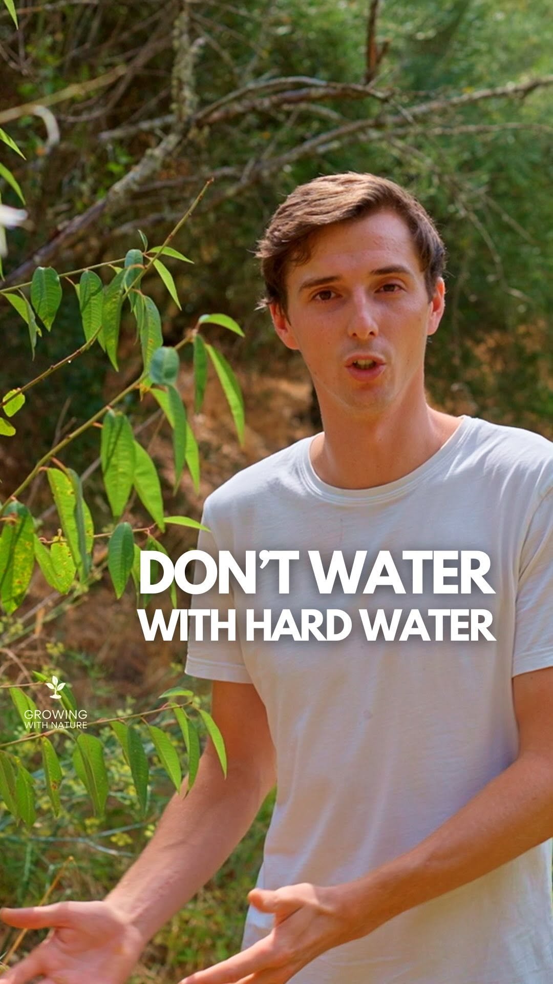 growingwithnature_official 게시물 이미지: Don’t make this mistake when watering your...