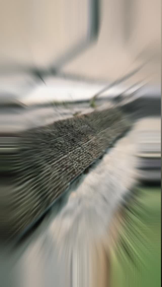 growmitraa 게시물 이미지: "Mitti अपना काम करती है, और हम अपना वादा...