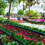 mondal_nursery4303 프로필 사진