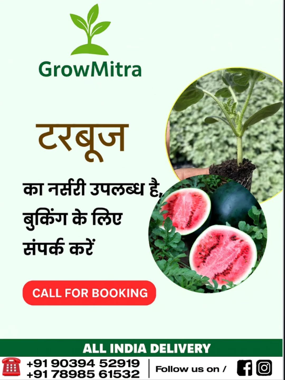 Photo by GrowMitra🌱 on October 31, 2025. May be an image of fig, vegetable and herb.