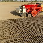 snpc_machines 프로필 사진