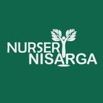 nurserynisargaonline 프로필 사진