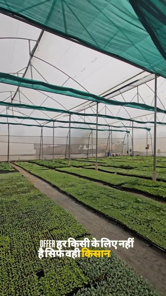 growmitraa 게시물 이미지: सबसे बड़ा ऑफर अब आपके लिए।

जो ग्राफ्टेड पौधे...