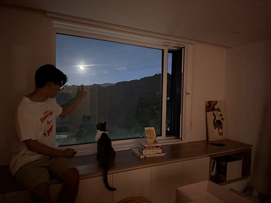 Photo shared by 김명철 on July 12, 2025 tagging @cat_babyc. May be an image of 1 person and text.