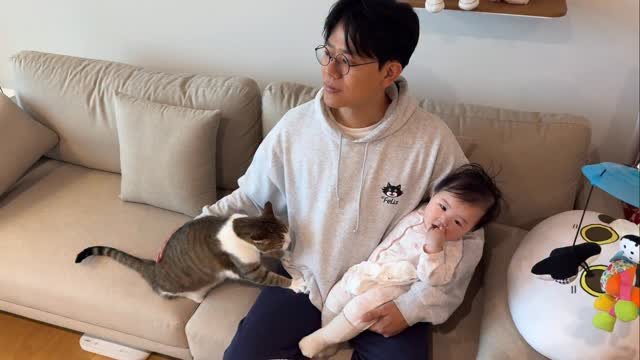 grrvet 게시물 이미지: .
이런게 바로 권력일까..?

#미야옹철#김명철수의사
#미야옹철의육아육묘