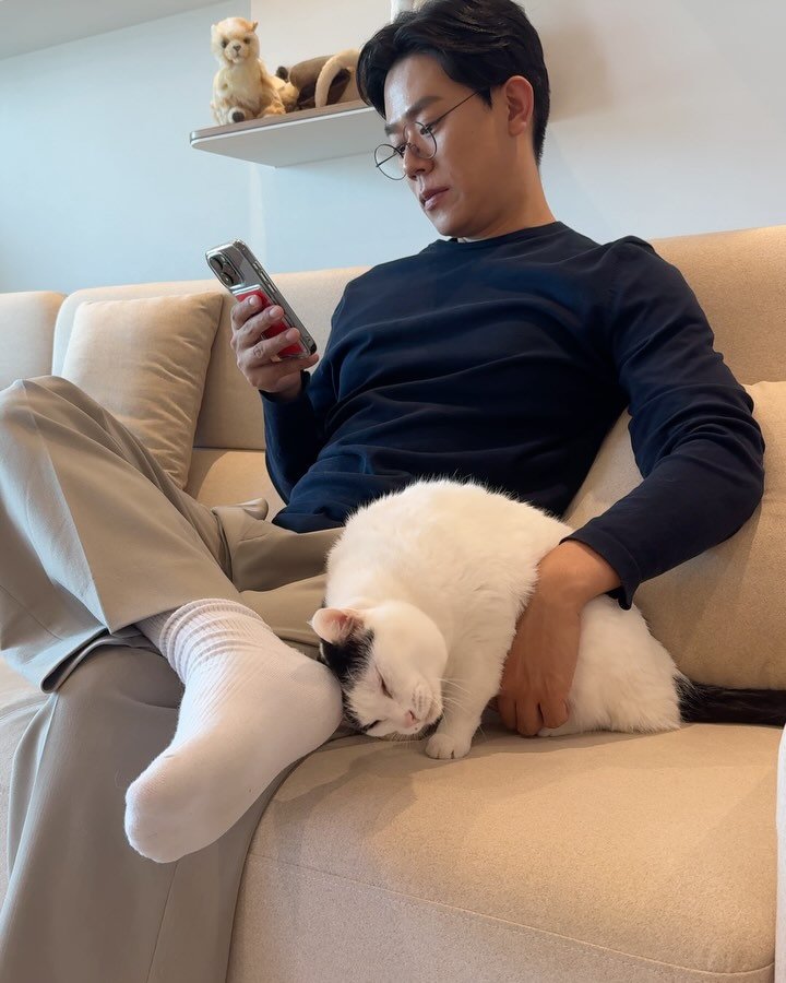 grrvet 게시물 이미지: .
미야옹철 no.5 🤓

#미야옹철의육묘일기 
#고양이사모님
#미야옹철#김명철수의사