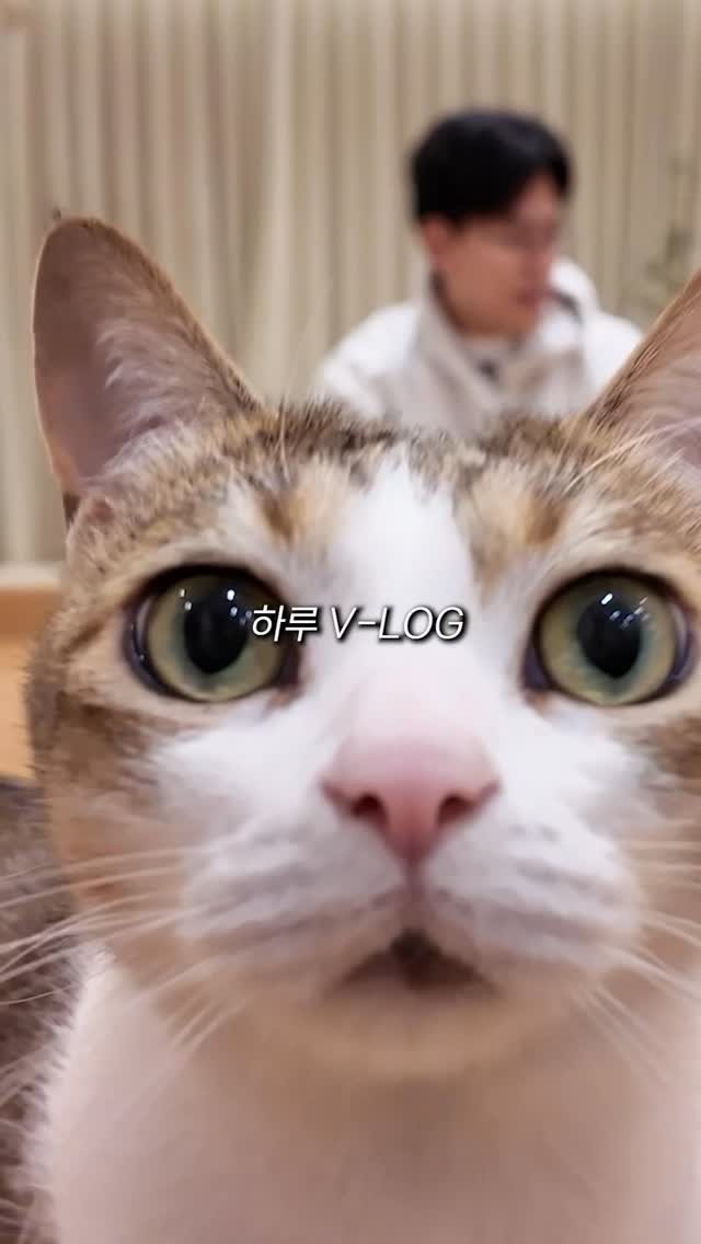 grrvet 게시물 이미지: #광고 #댓글이벤트

🐾수의사와 고양이의 하루🐱
입만 열면 자동으로 고양이 털이...
