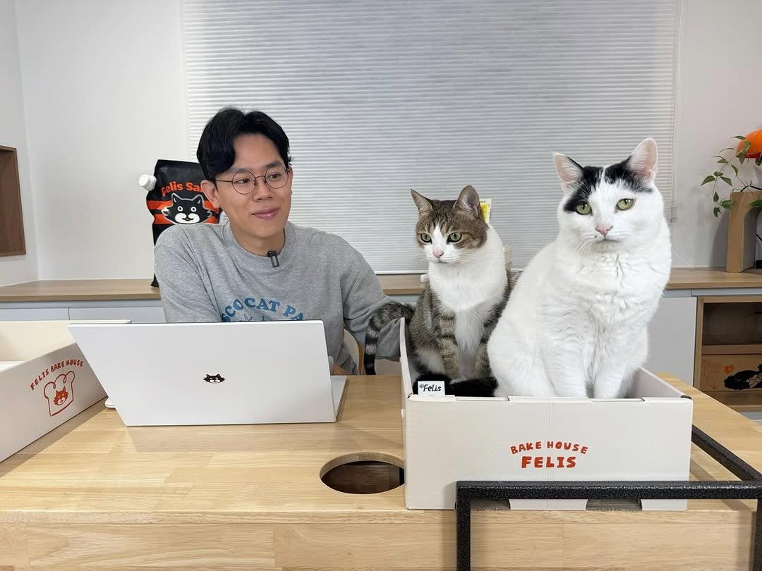 Photo shared by 김명철 on April 06, 2025 tagging @cat_samonim, and @cat_babyc.