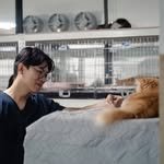 grrvet 인스타그램 프로필 사진