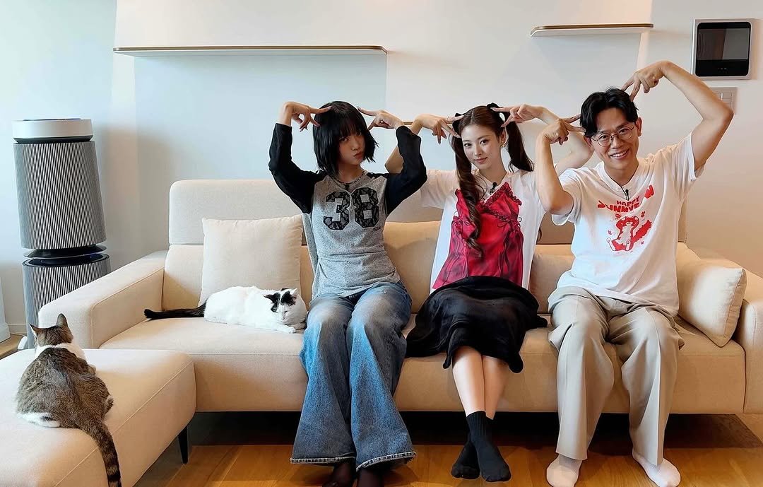 Photo shared by 김명철 on June 02, 2025 tagging @grrvet, @cat_samonim, @cat_babyc, and @meovv. May be an image of sweatpants, sofa and living room.