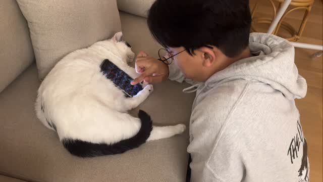 grrvet 게시물 이미지: .
핸드폰거치묘😼

#미야옹철#김명철수의사
#고양이사모님#미야옹철의육묘일기