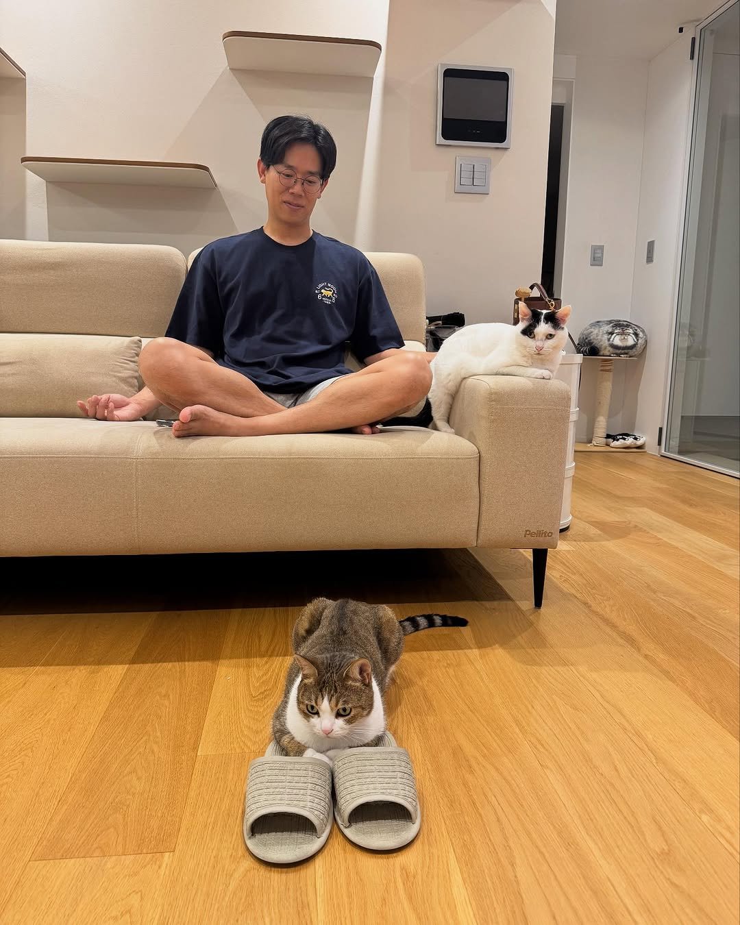 Photo shared by 김명철 on July 23, 2025 tagging @cat_samonim, and @cat_babyc. May be an image of 1 person, Abyssinian cat, tortoiseshell cat, kitten and text.