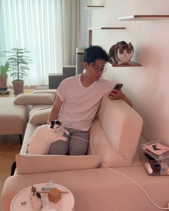 grrvet 게시물 이미지: .
고양이들이 저를 너무 좋아해요 😌

#미야옹철#김명철수의사
#미야옹철의육묘일기