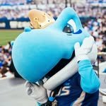 corbusie_nc 프로필 사진