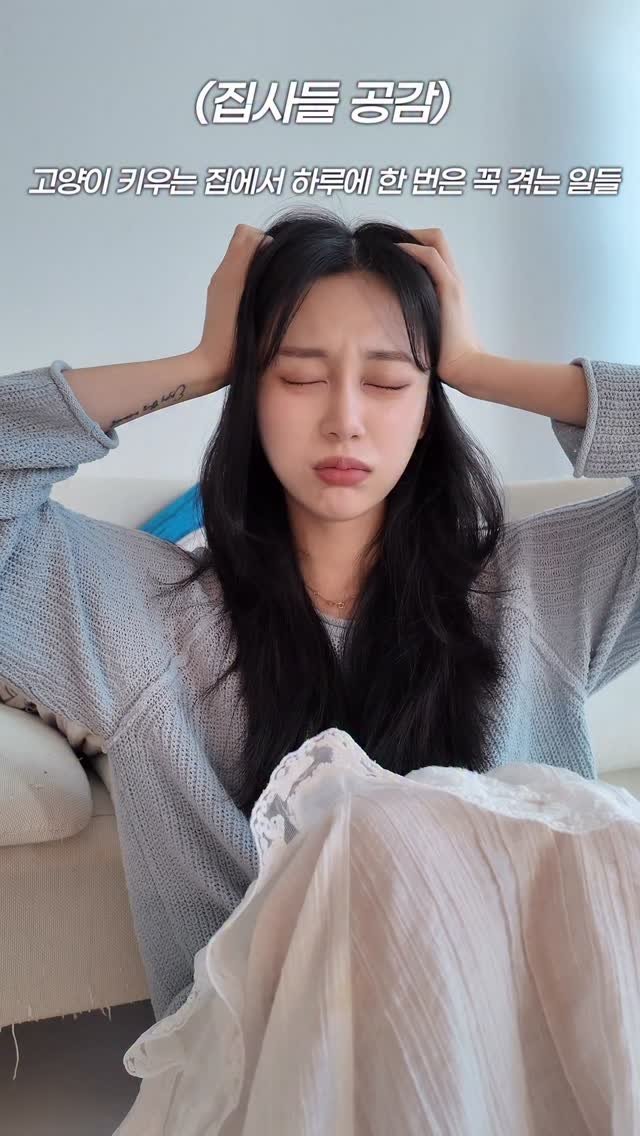 gueul_couple 게시물 이미지: 집사들의 공감..😿

이 청소기로 청소 스트레스 다 날아갔어요 🤍

📢제품명 :...