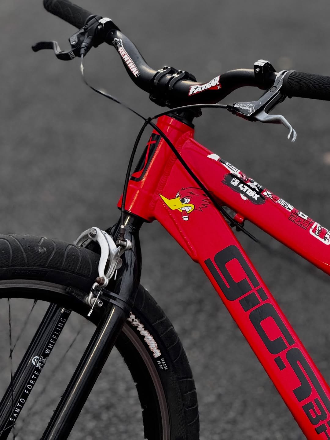 Photo by Gustavo Lopes on October 14, 2025. May be an image of bicycle and text.