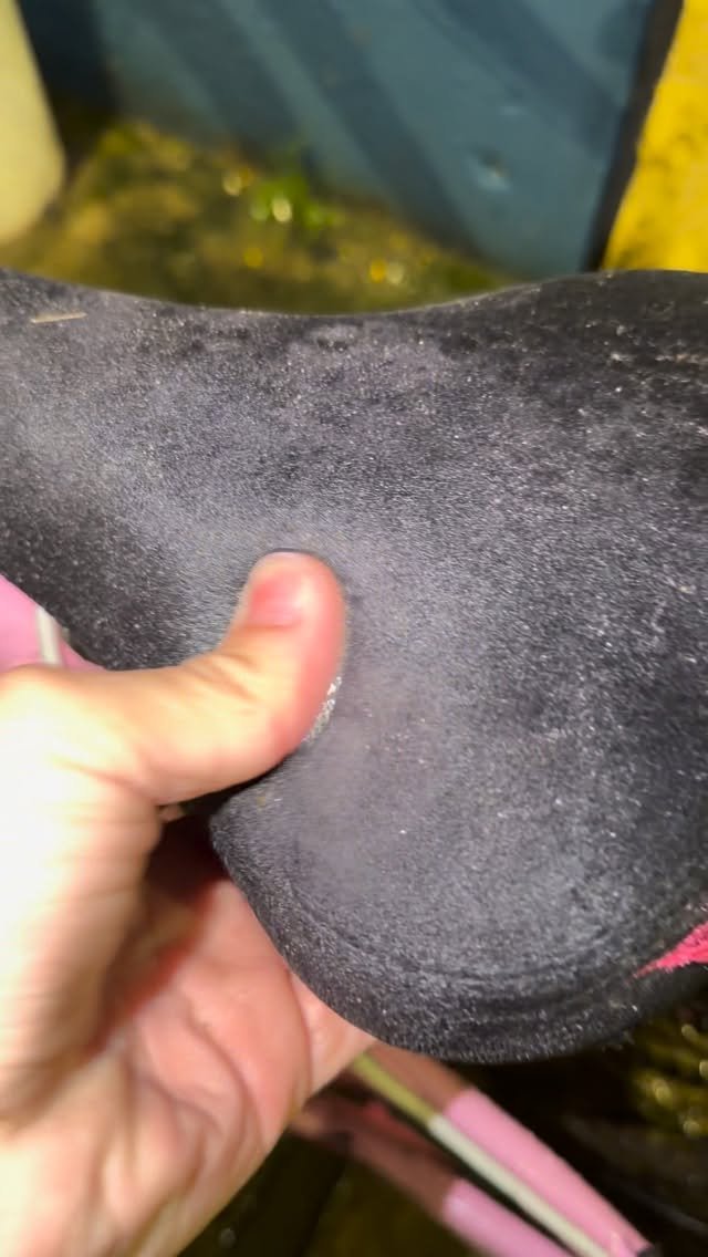 gustagrauu 게시물 이미지: Comenta se já passou por isso😂👇🏼