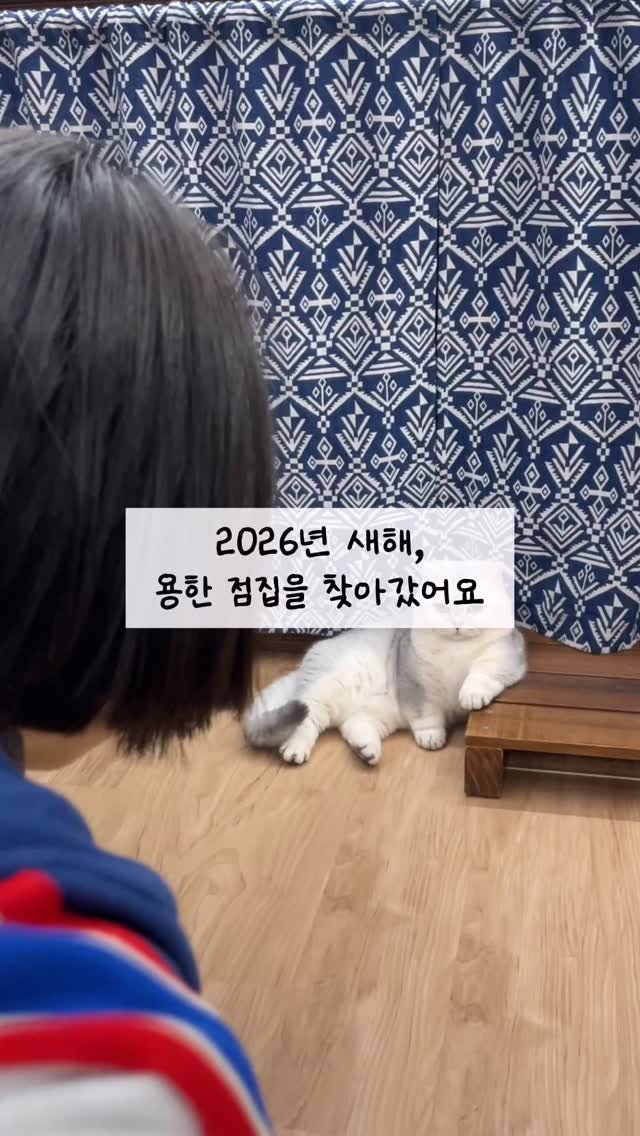 gwakjisaedaek 게시물 이미지: 용한 점집이 있다해서 찾아가봤어요🤣

복비 츄르가 없어서 
슨생님이 아무말도...