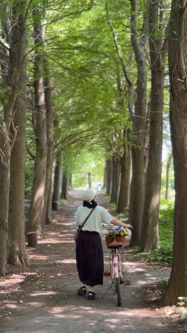 gwakjisaedaek 게시물 이미지: 오늘은 힐링의 날..🥹💚

곽지에서 나를 구출해주고,
좋은 곳 데려가줘서...