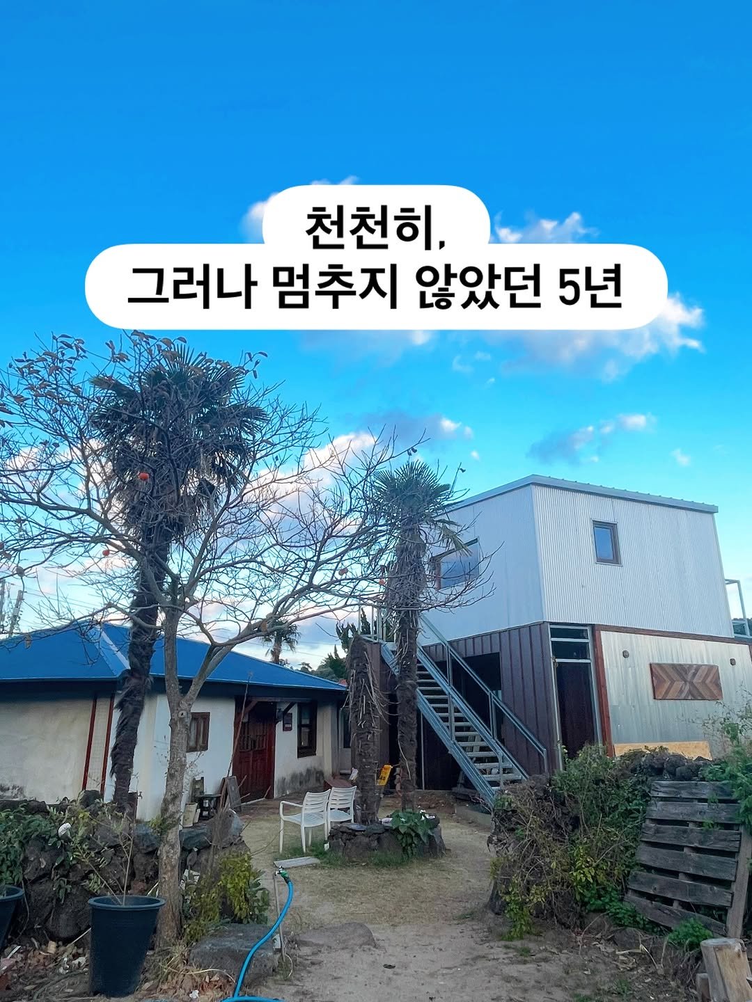 Photo by 곽지새댁 시골대기업 on December 02, 2025. May be an image of pie, outdoors and text that says '천천히. 그러나 멈추지 않았던 5년 I ሀንቢ'.