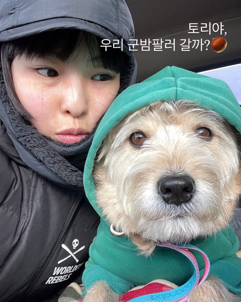 Photo shared by 곽지새댁 시골대기업 on January 02, 2026 tagging @jeju_tory. May be an image of Norwich terrier, cocker spaniel, duffle coat, parka and text that says '讚 k'.