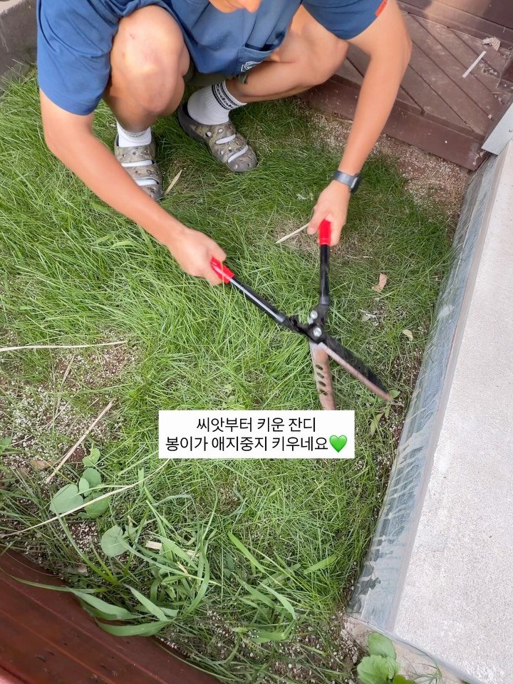 gwakjisaedaek 게시물 이미지: 봉이와 시골에서 맞이하는 6번째 여름🫧

매해 어떤 일이 일어날지 모르는
알 수...
