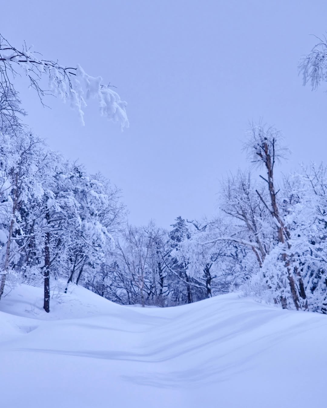 Photo by One-light on August 11, 2024.