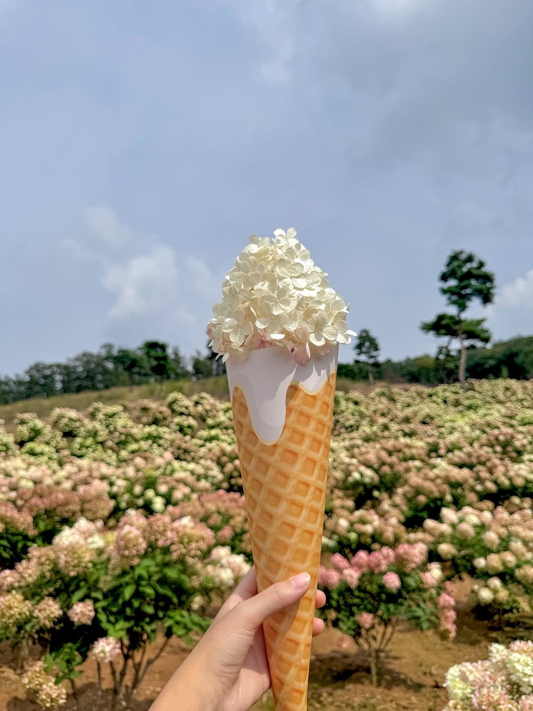 Photo by 경기관광공사 on September 30, 2025. May be an image of gelato, ice cream and text.