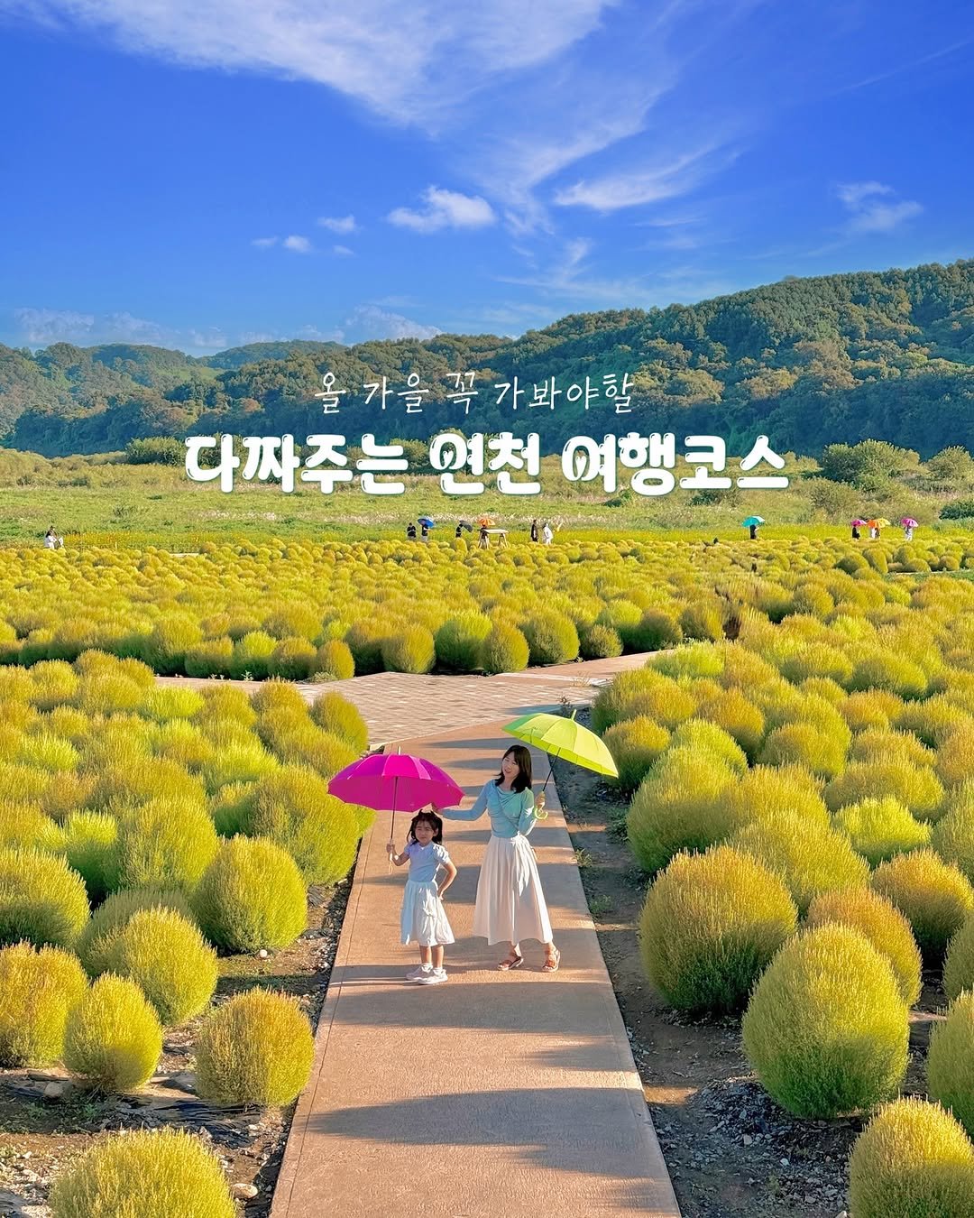 Photo shared by 너랑나랑 우리의 여행기📽 on October 01, 2025 tagging @gyeonggi_tour, and @yeoncheongun. May be an image of 2 people, baby's-breath, globe amaranth, outdoors and text that says '올 가을 꼭 가봐야할 다짜주는 연천 여행코스'.