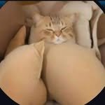 memedotgae 프로필 사진