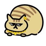 jp_funny4649 프로필 사진