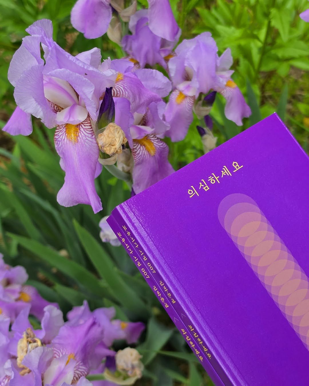 gyoyu_books 게시물 이미지: 잘해보려고 기를 쓰다
기우뚱한 낙하라니

모르는 신에게 안녕을 빌어볼까
귀신이라고...