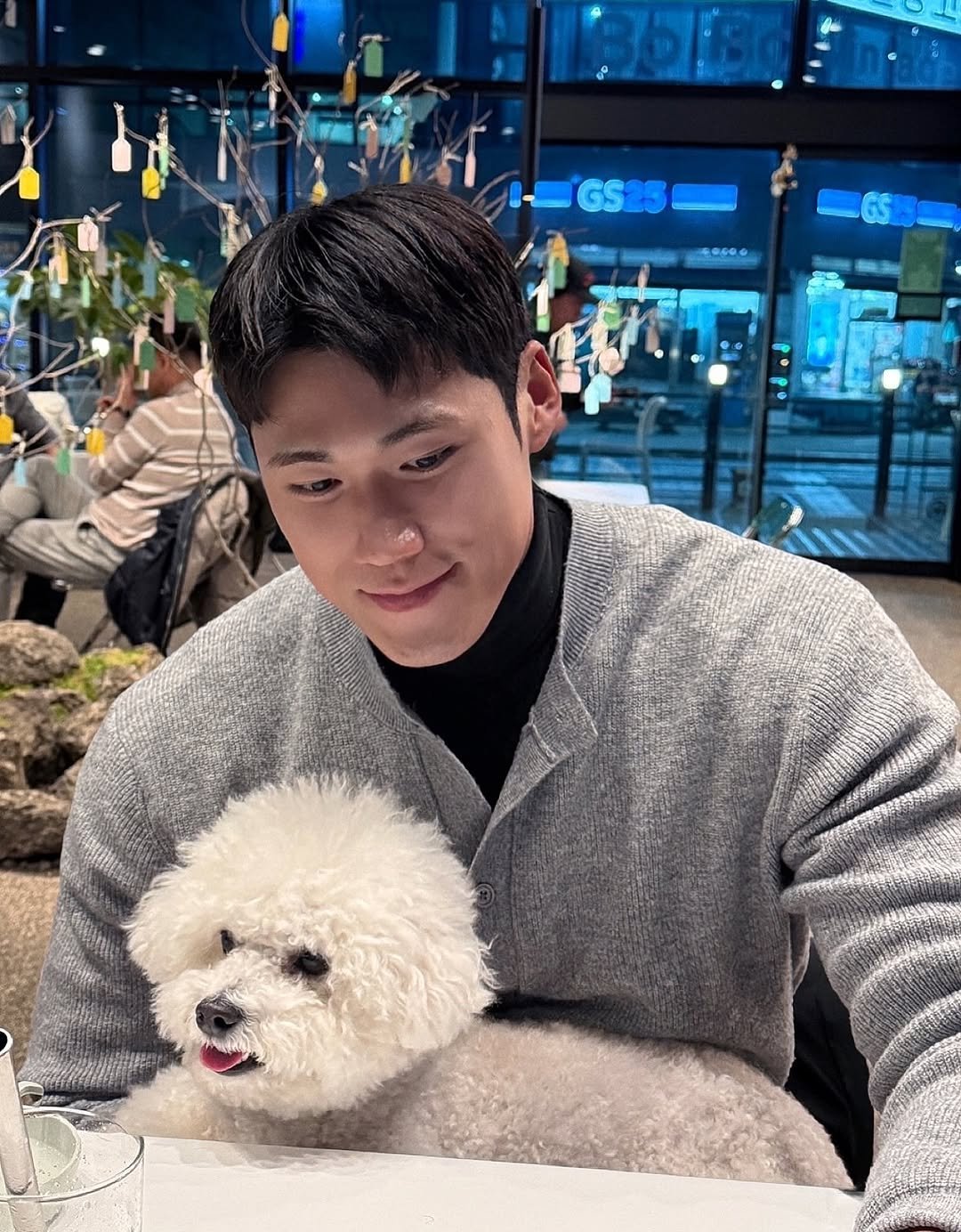 Photo by 이동규 on February 15, 2026. May be an image of Maltese, Bedlington terrier and text.