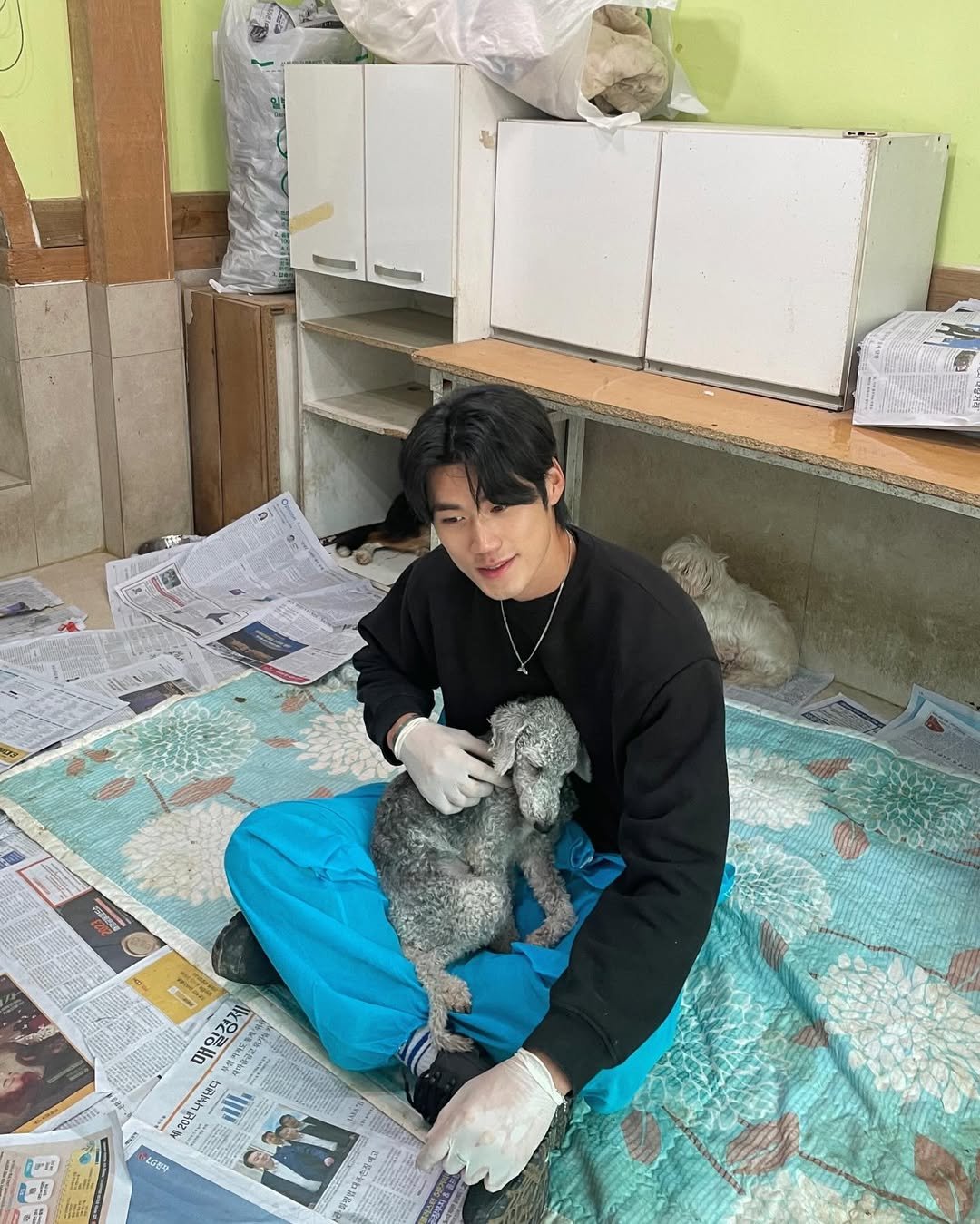 Photo shared by 이동규 on November 19, 2023 tagging @kdsrescue.