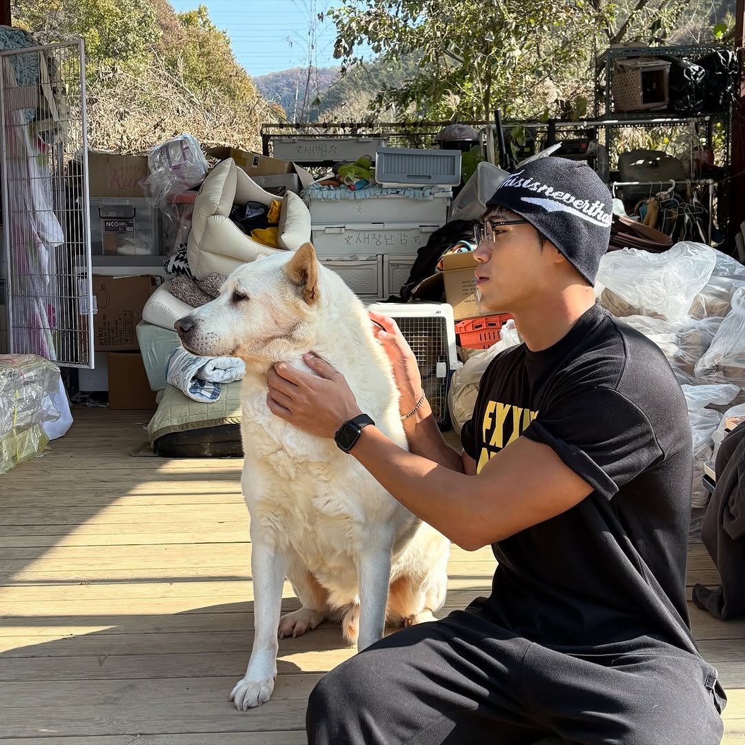 Photo by 이동규 on November 04, 2025. May be an image of dog and text.