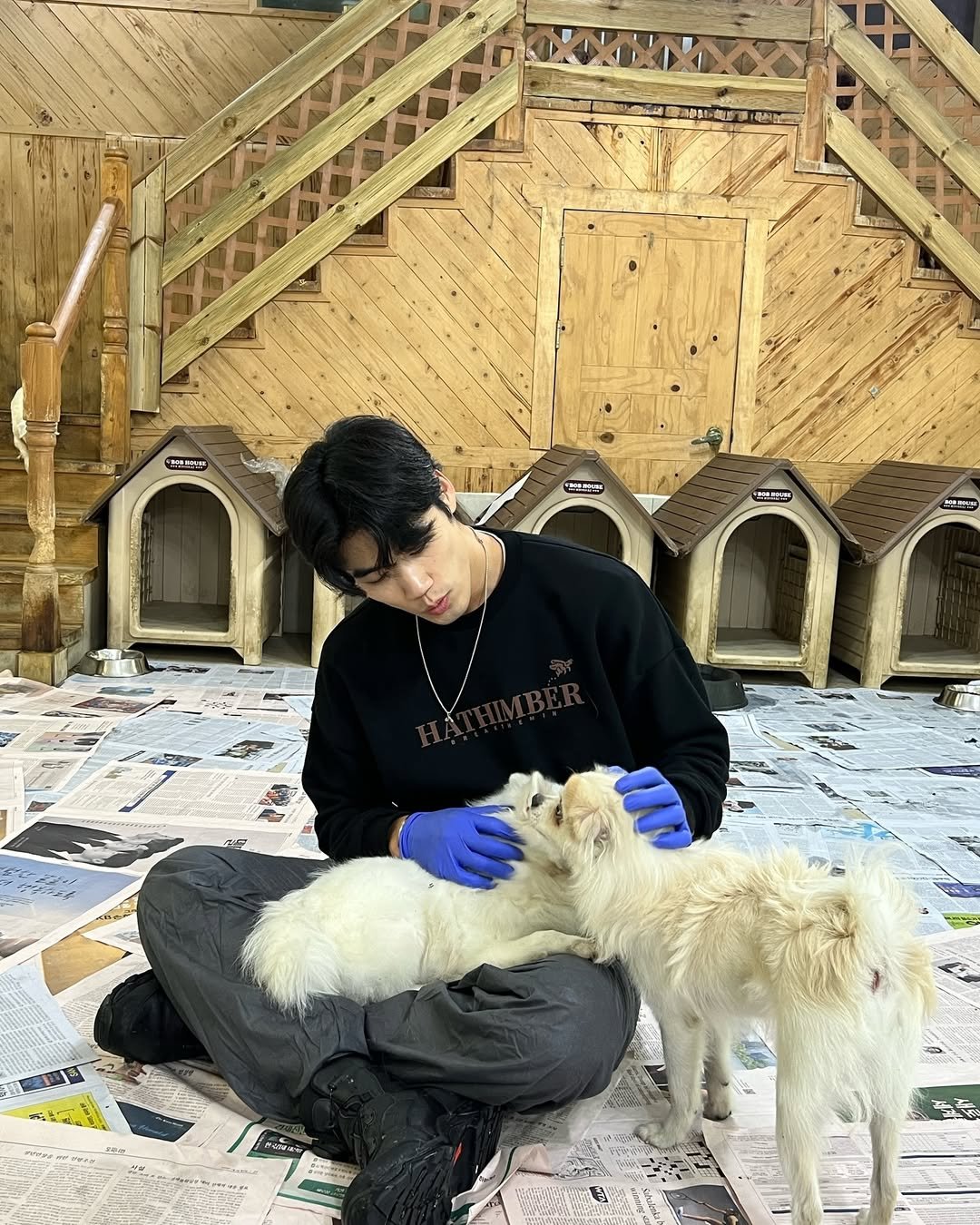 Photo by 이동규 on December 01, 2024.