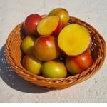 seoks_plum 프로필 사진